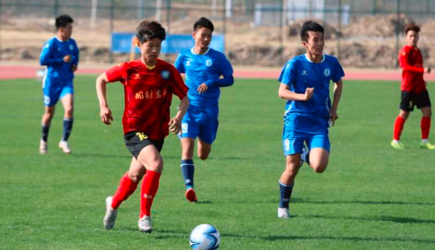 外教观点：足球青少年培训应让孩子多打比赛